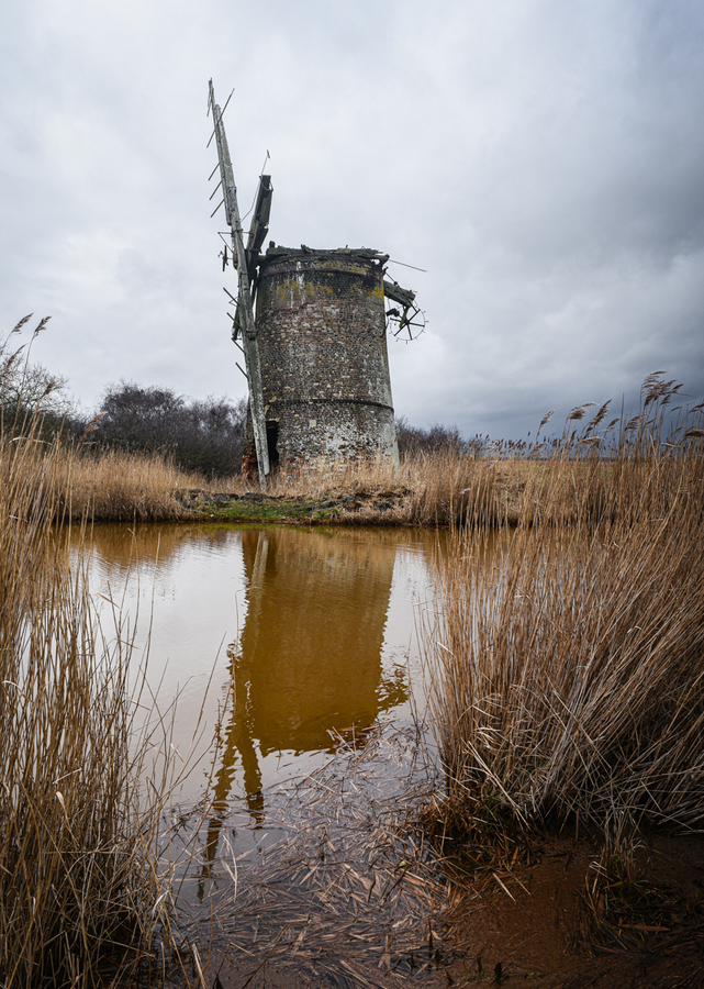 Still Standing - Martyn Scurrell